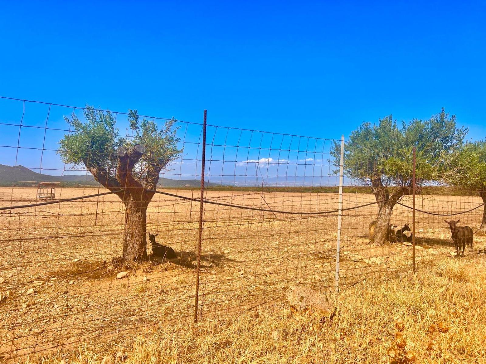 Villetta Sisini - Key To Villas คาโปแตร์รา ภายนอก รูปภาพ